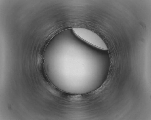 X0000113230132200909100951