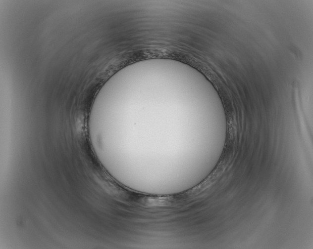 X0000113230134200909100951