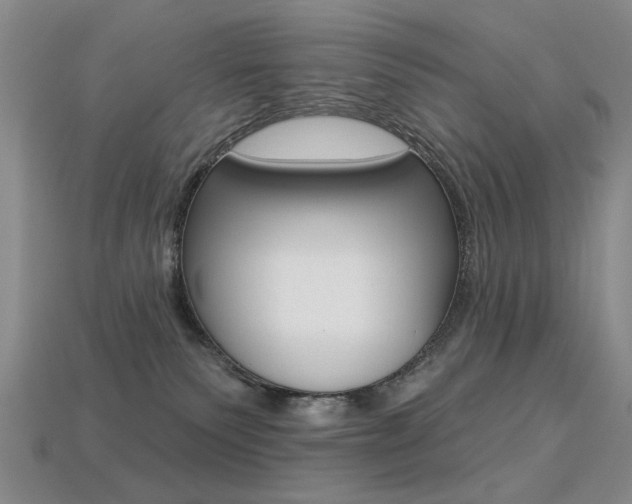 X0000113230135200909100951