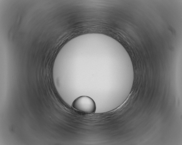 X0000113230136200909100951