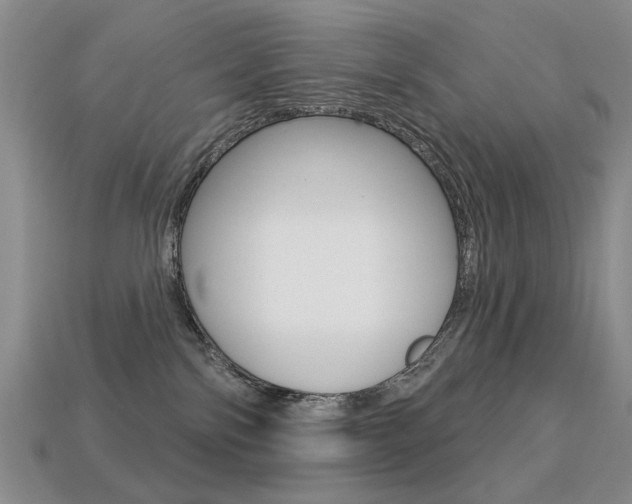 X0000113230138200909100951