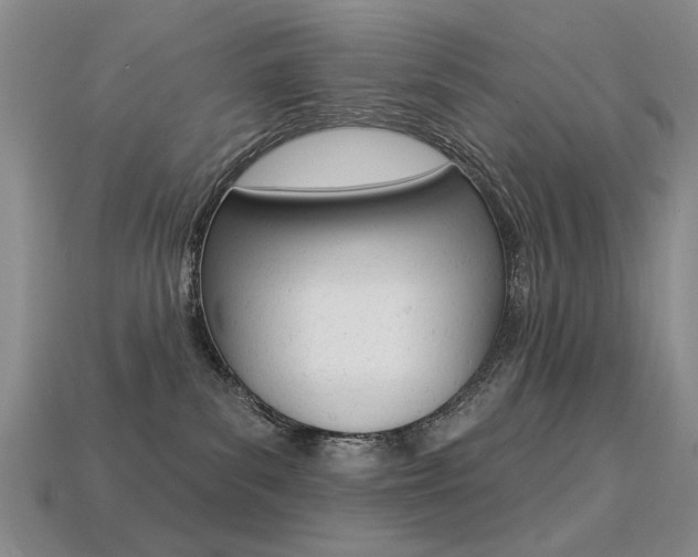 X0000113230139200909100951
