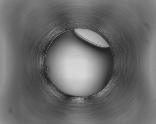 X0000113230140200909100951