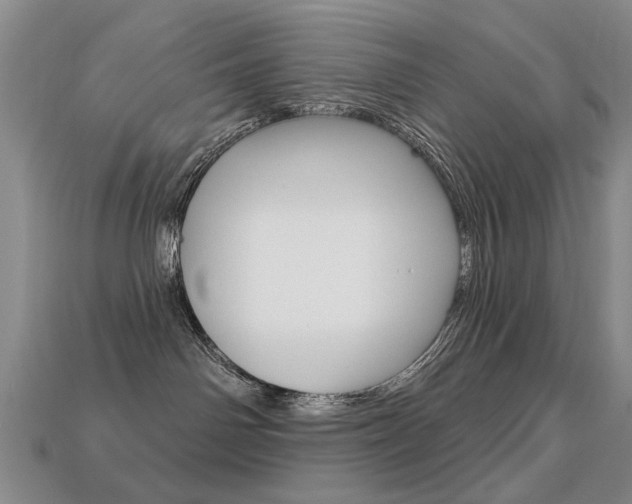 X0000113230142200909100951