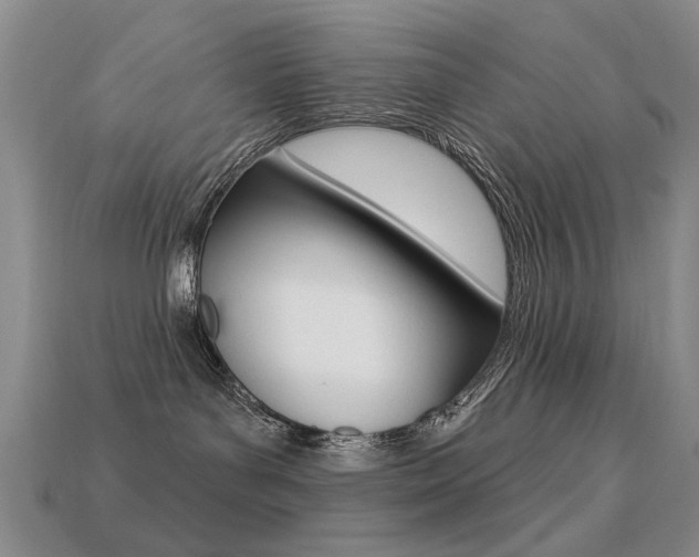 X0000113230143200909100951