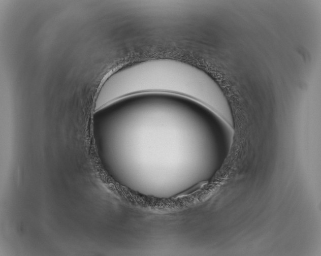 X0000113230144200909100951