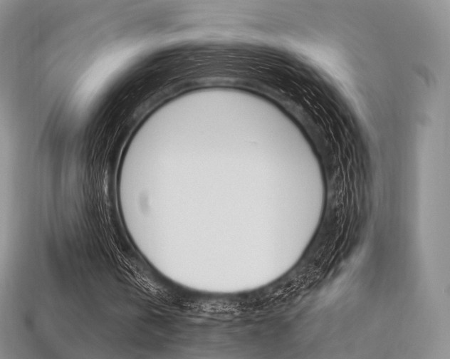 X0000113230146200909100950