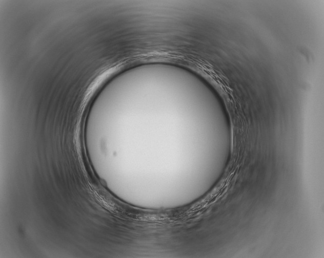 X0000113230147200909100950