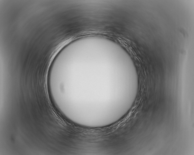 X0000113230148200909100950