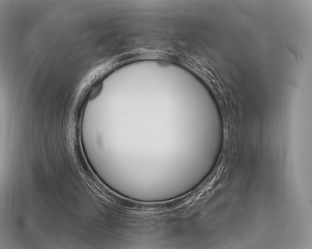 X0000113230149200909100950
