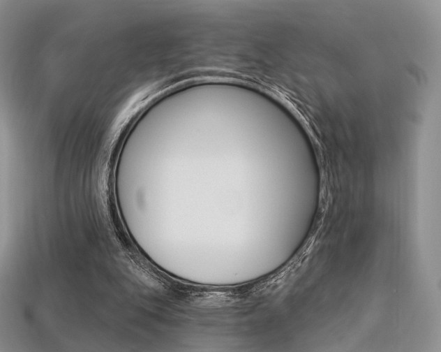 X0000113230151200909100950