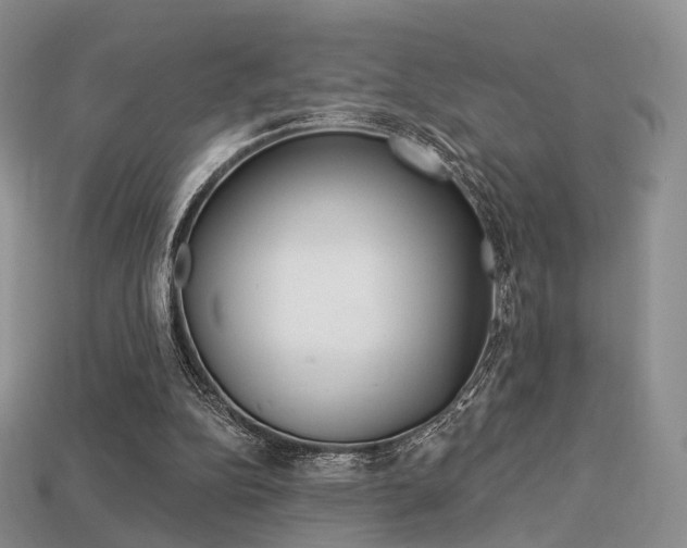 X0000113230152200909100950
