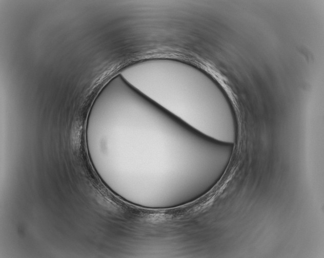 X0000113230153200909100950