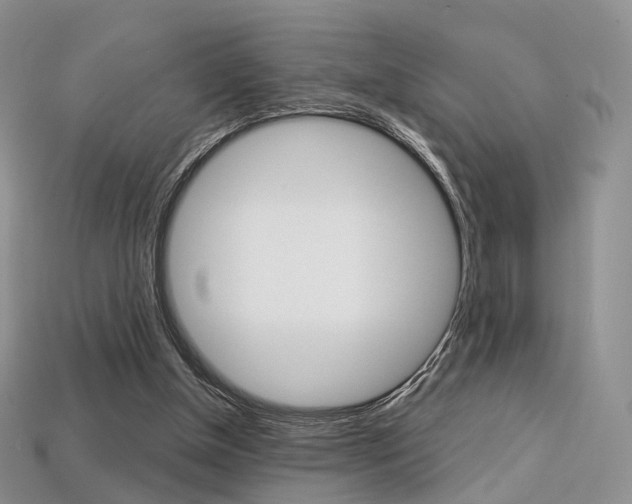 X0000113230154200909100950