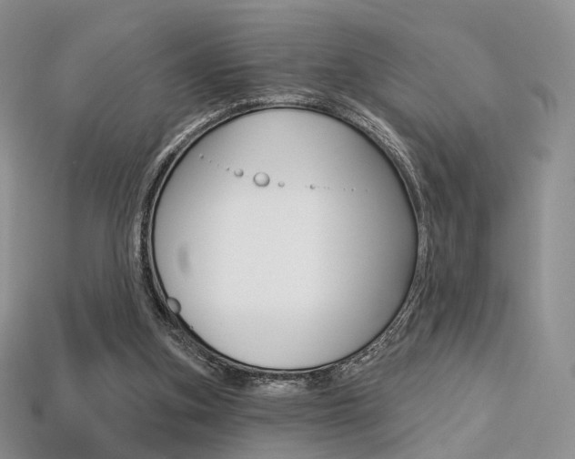 X0000113230155200909100950