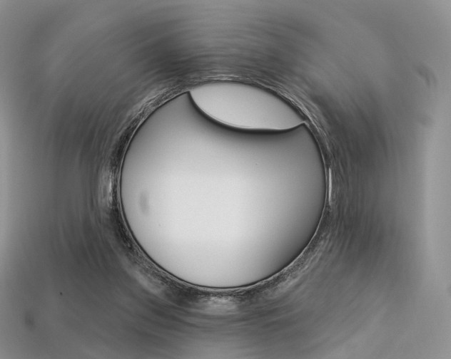 X0000113230157200909100950