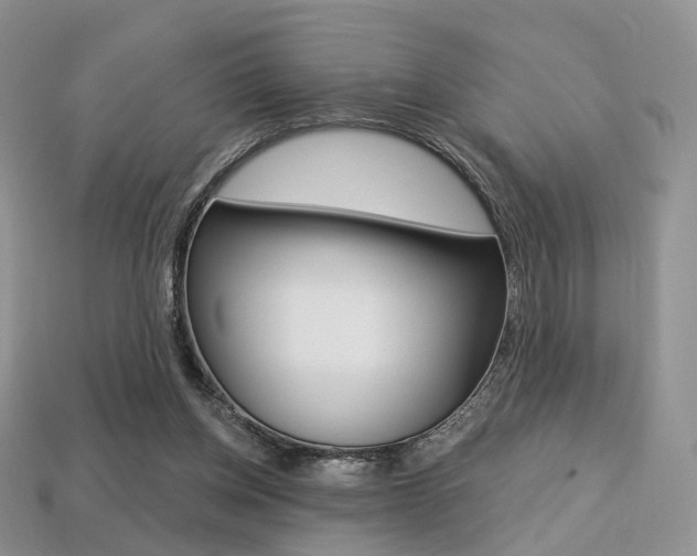 X0000113230158200909100950