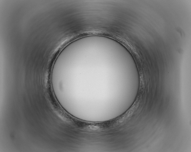 X0000113230159200909100950