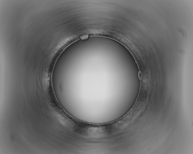 X0000113230160200909100950