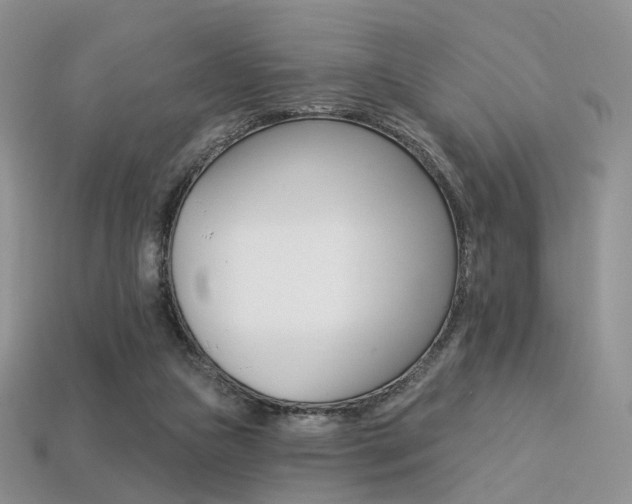 X0000113230161200909100950