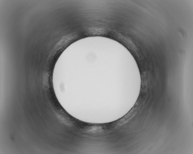X0000113230162200909100950
