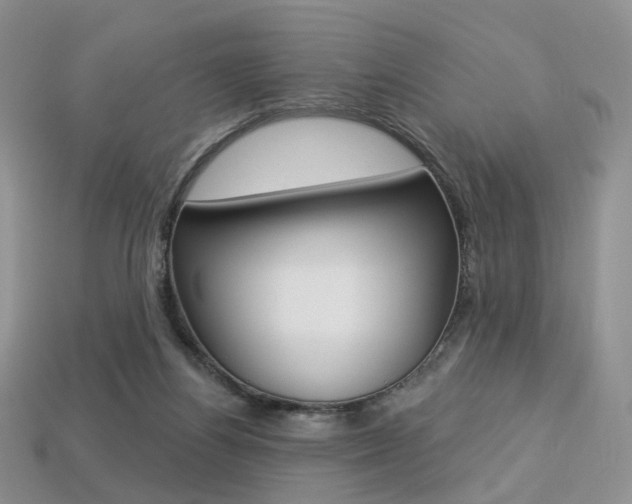 X0000113230164200909100950