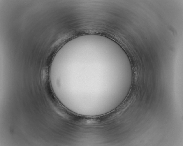 X0000113230165200909100950