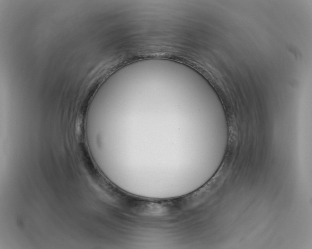 X0000113230166200909100950