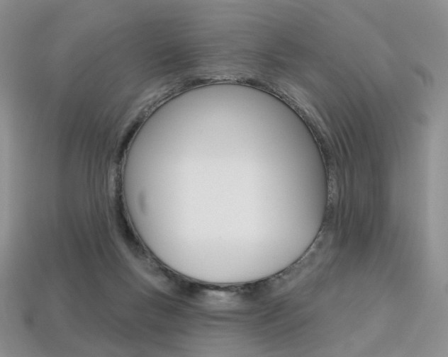 X0000113230167200909100950