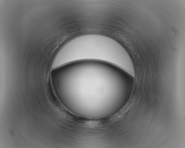 X0000113230168200909100950