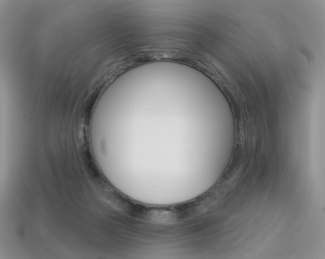 X0000113230169200909100950