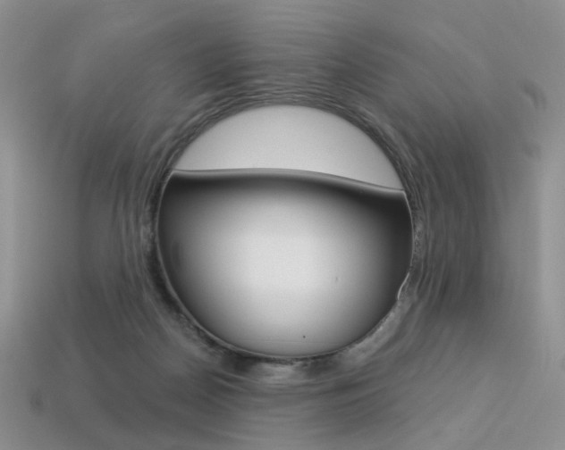 X0000113230170200909100950