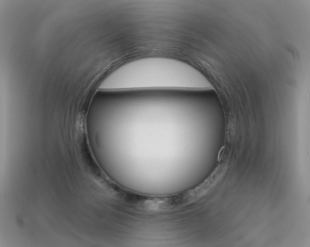 X0000113230172200909100950
