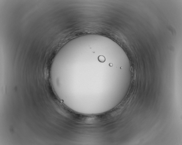 X0000113230173200909100950