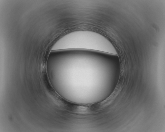 X0000113230176200909100950
