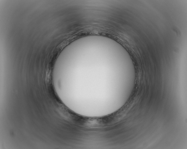 X0000113230177200909100950
