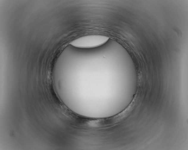 X0000113230178200909100950