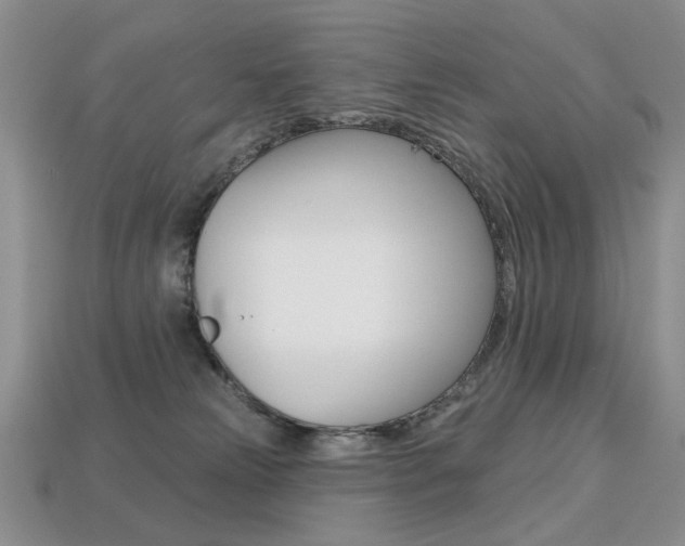 X0000113230181200909100950