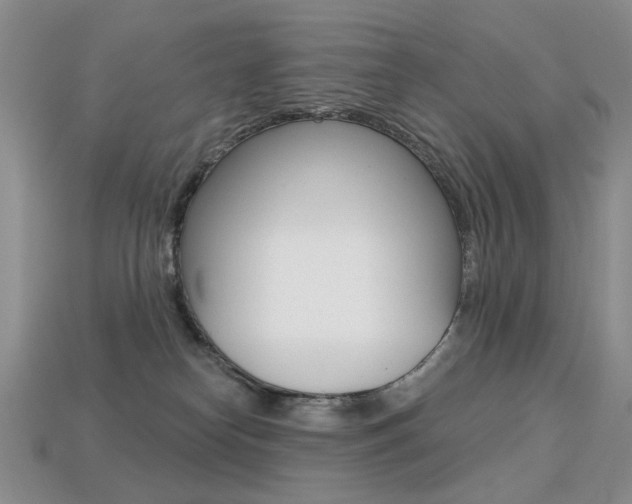 X0000113230182200909100950