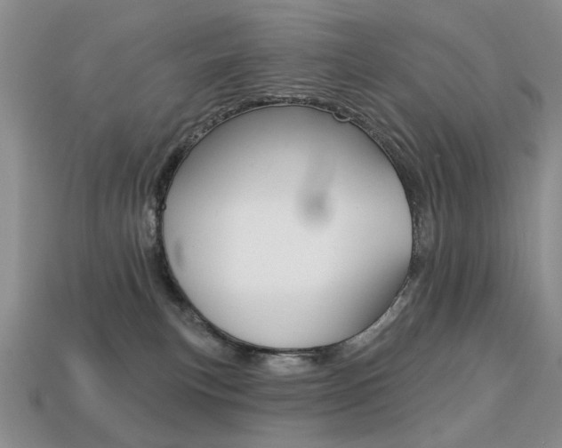 X0000113230183200909100950