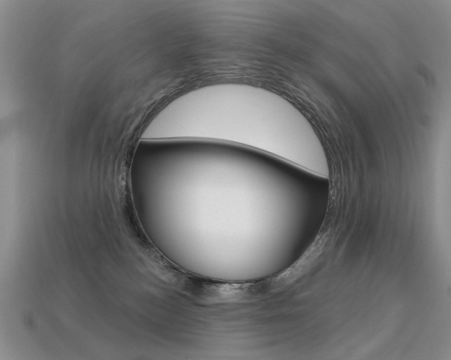 X0000113230184200909100950
