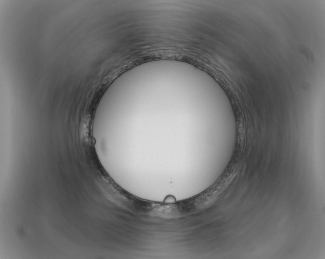 X0000113230185200909100950