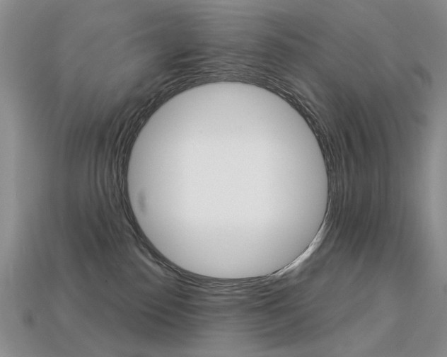 X0000113230186200909100950