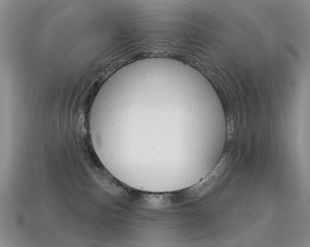 X0000113230187200909100950