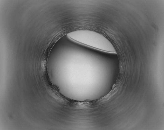 X0000113230188200909100950
