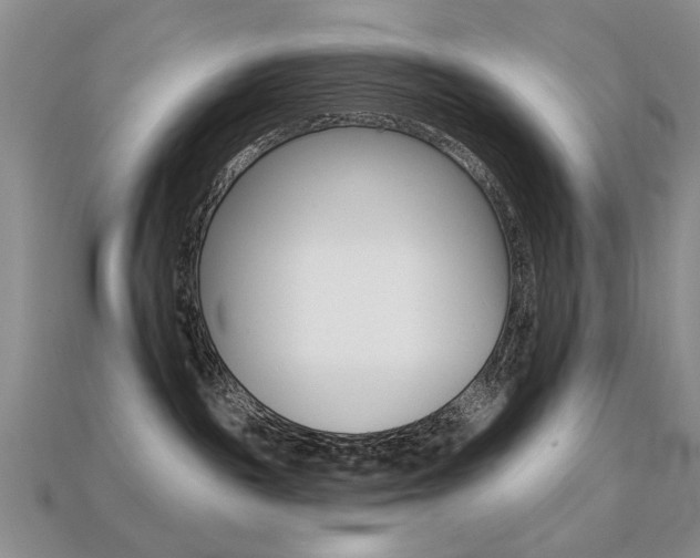 X0000113230189200909100950