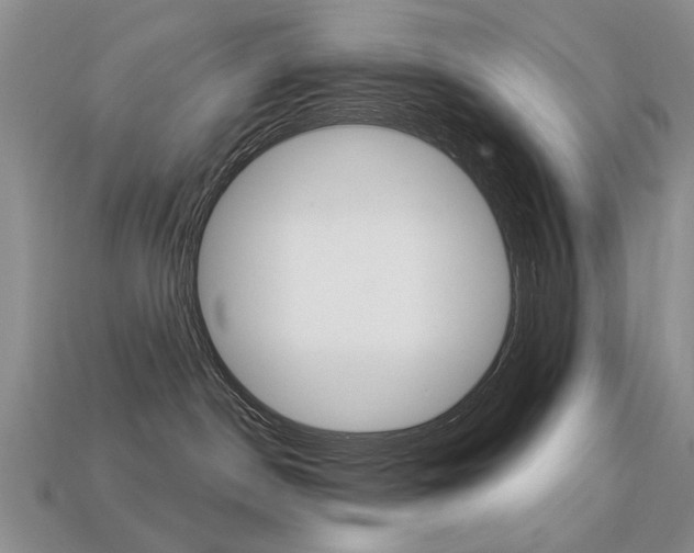 X0000113230190200909100951