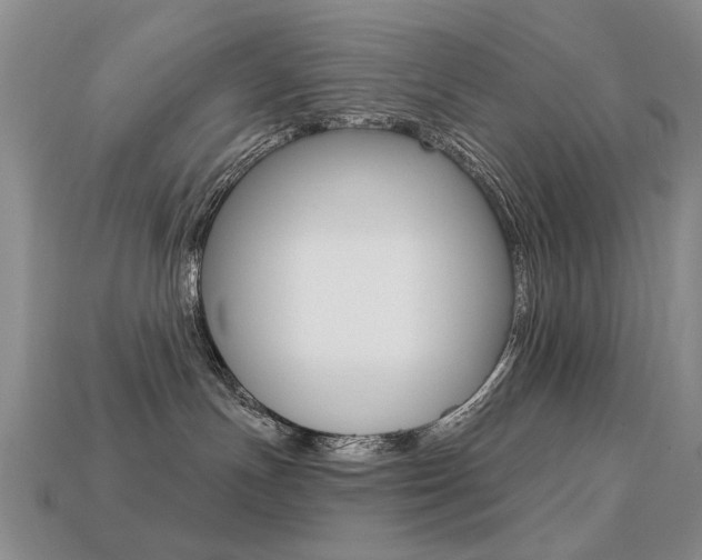 X0000113230191200909100951