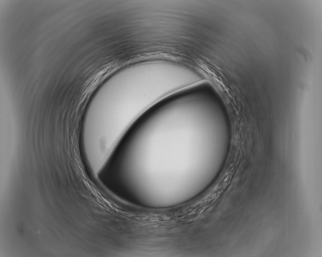 X0000113230193200909100950
