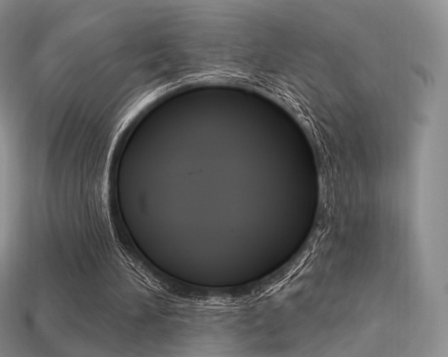 X0000113230196200909100950